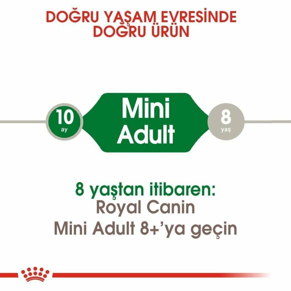 Royal Canin Mini Adult Küçük Irk Yetişkin Köpek Maması 8 Kg