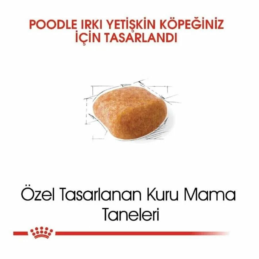 Royal Canin Poodle Adult Yetişkin Köpek Maması 3 Kg