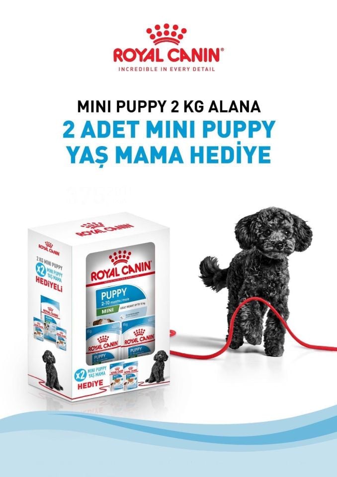 Royal Canin Mini Puppy Küçük Irk Yavru Köpek Maması 2 Kg + 2 Adet Puppy Pouch 85 Gr Hediye!