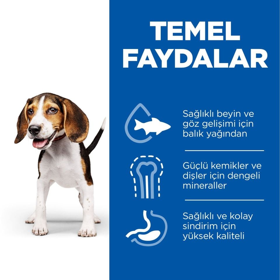 Hill's Science Plan Kuzu Etli Orta Irk Yavru Köpek Maması 12 + 2 Kg