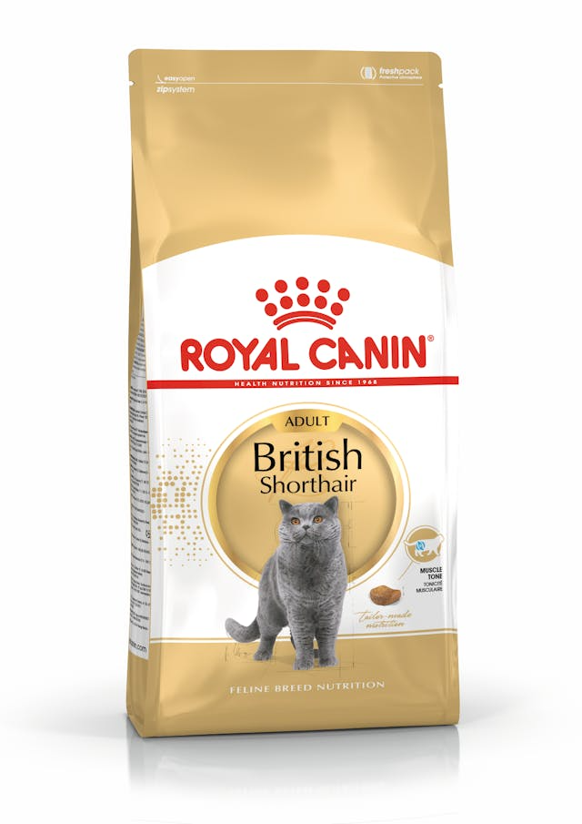 Royal Canin British Shorthair Yetişkin Kedi Maması 4 Kg