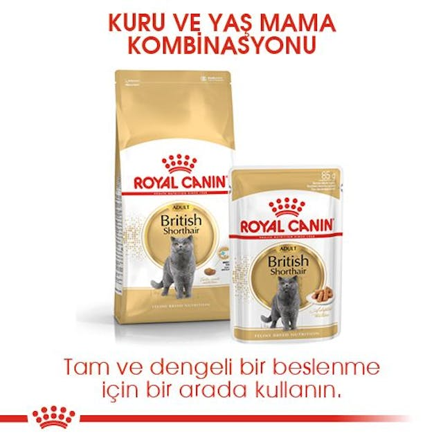 Royal Canin British Shorthair Yetişkin Kedi Maması 4 Kg