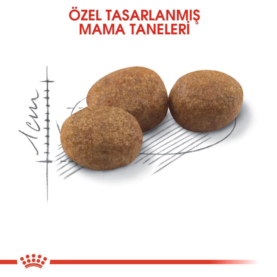 Royal Canin Sterilised 37 Kısırlaştırılmış Yetişkin Kedi Maması 15 Kg