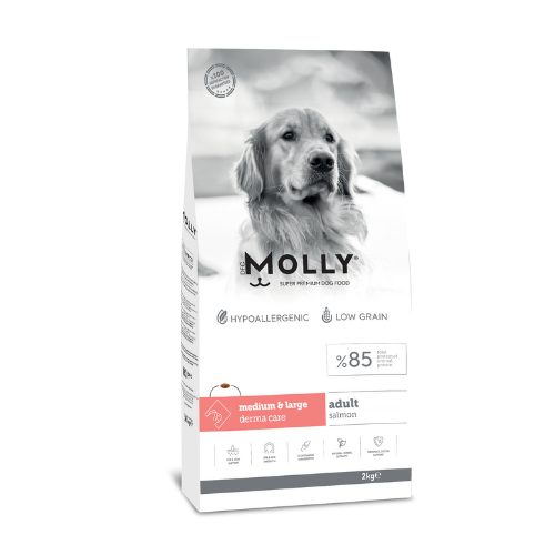 MOLLY DOG MEDİUM-LARGE SOMON 2 KG