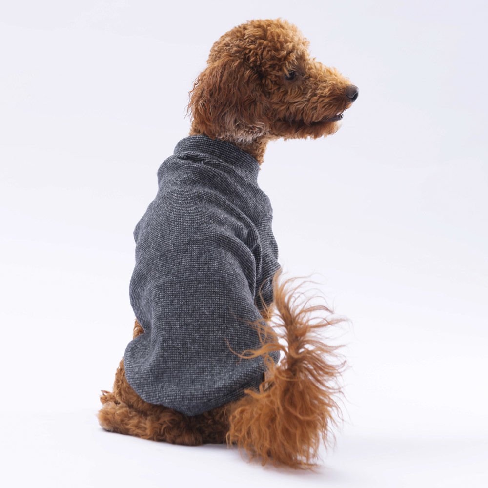 24722-PAWSTAR 5'Lİ SİYAH MERİNO SWEAT ELBİSE