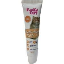 YNC-3071 FUNNY CATS  MULTİVİTAMİN PASTE 100GR