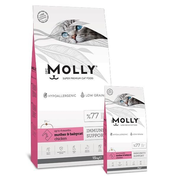 MOLLY BABY CAT YAVRU  KEDİ 15 KG