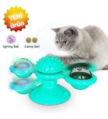 CAT FUN DÖNENCE ÖDÜL ÇARKI