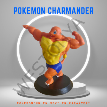 Pokemon Kaslı Charmander