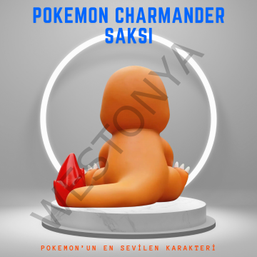 Pokemon Charmander Saksı