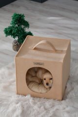 Köpek Yuvası Kahverengi