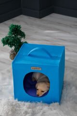 Köpek Yuvası Mavi