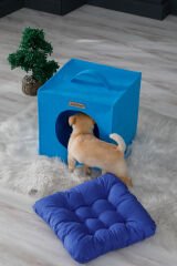 Köpek Yuvası Mavi