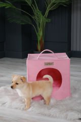 Pembe