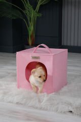 Köpek Yuvası Pembe