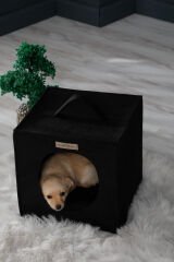 Köpek Yuvası Siyah