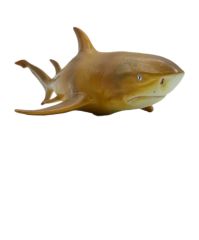 Oyuncak Köpekbalığı Et Figür Gerçekci Deniz Canlıları Camgöz Köpek Balığı En:29cm.