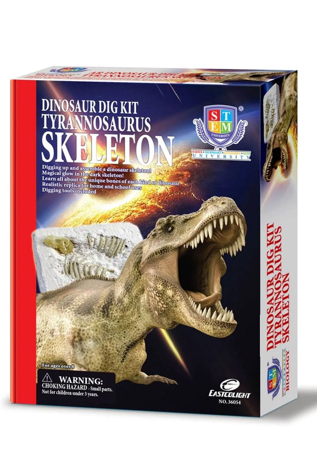 Tyrannosaurus Rex İskeleti Kazı Seti: Eğlenerek Bilim Öğrenin!