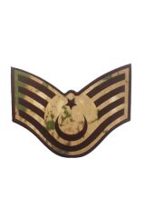 ASTSB.ÜSTÇVŞ.