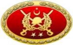 TSK Metal Bröve Çeşitleri ÖZEL KUVVETLER