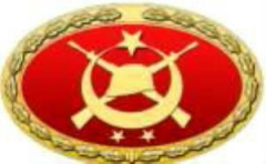 TSK Metal Bröve Çeşitleri KOMANDO TEMEL
