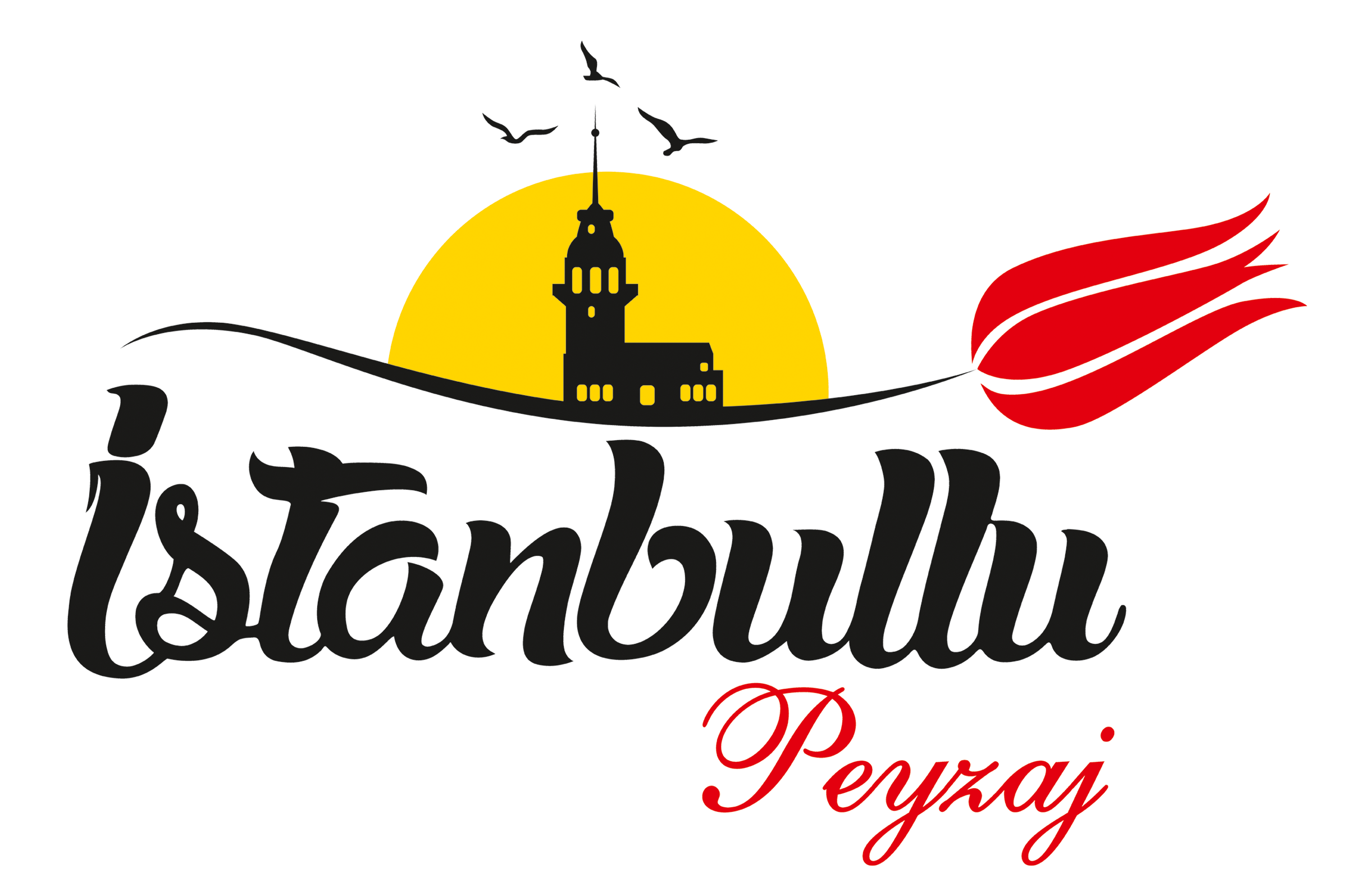 İstanbullu Peyzaj Çim Tohumu, Gübre, Torf, Barbekü, Online Satışı