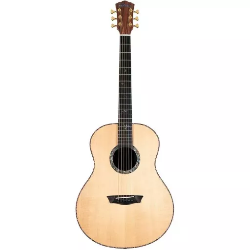 Akustik Gitarlar