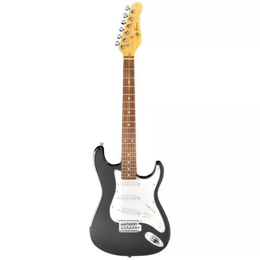 Elektro Gitarlar