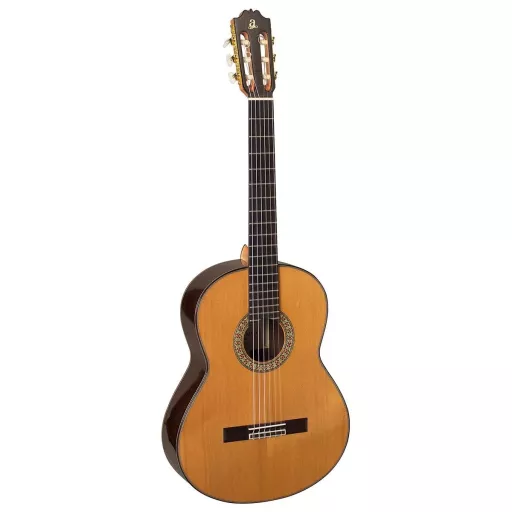 Klasik Gitarlar