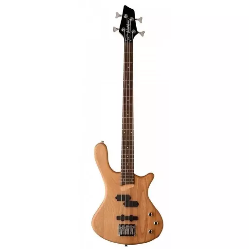 Bas Gitarlar