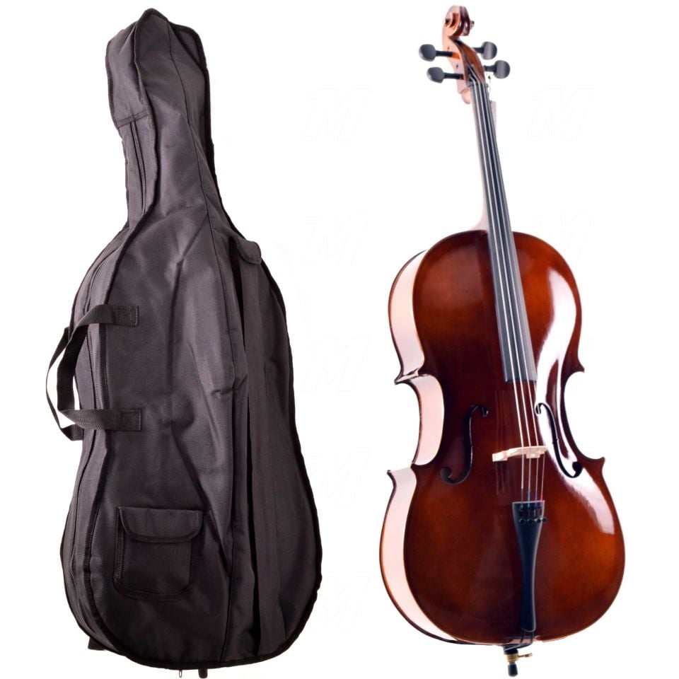 Çello (Viyolonsel) Parlak Cilalı 3/4