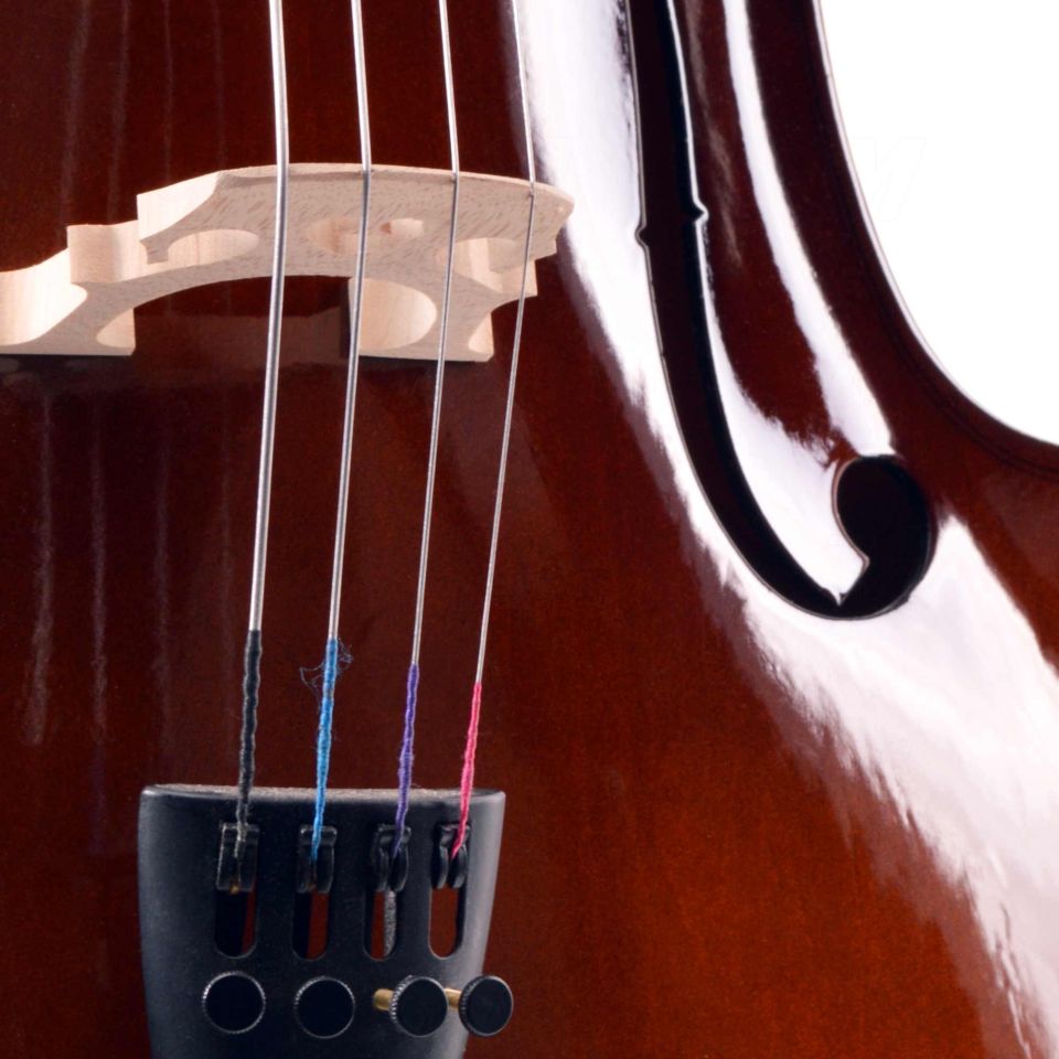 Çello (Viyolonsel) Parlak Cilalı 3/4