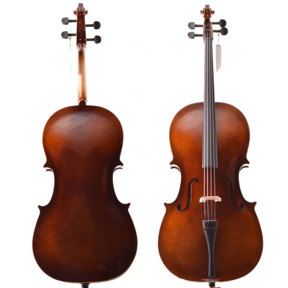 Çello (Viyolonsel) Parlak Cilalı 3/4