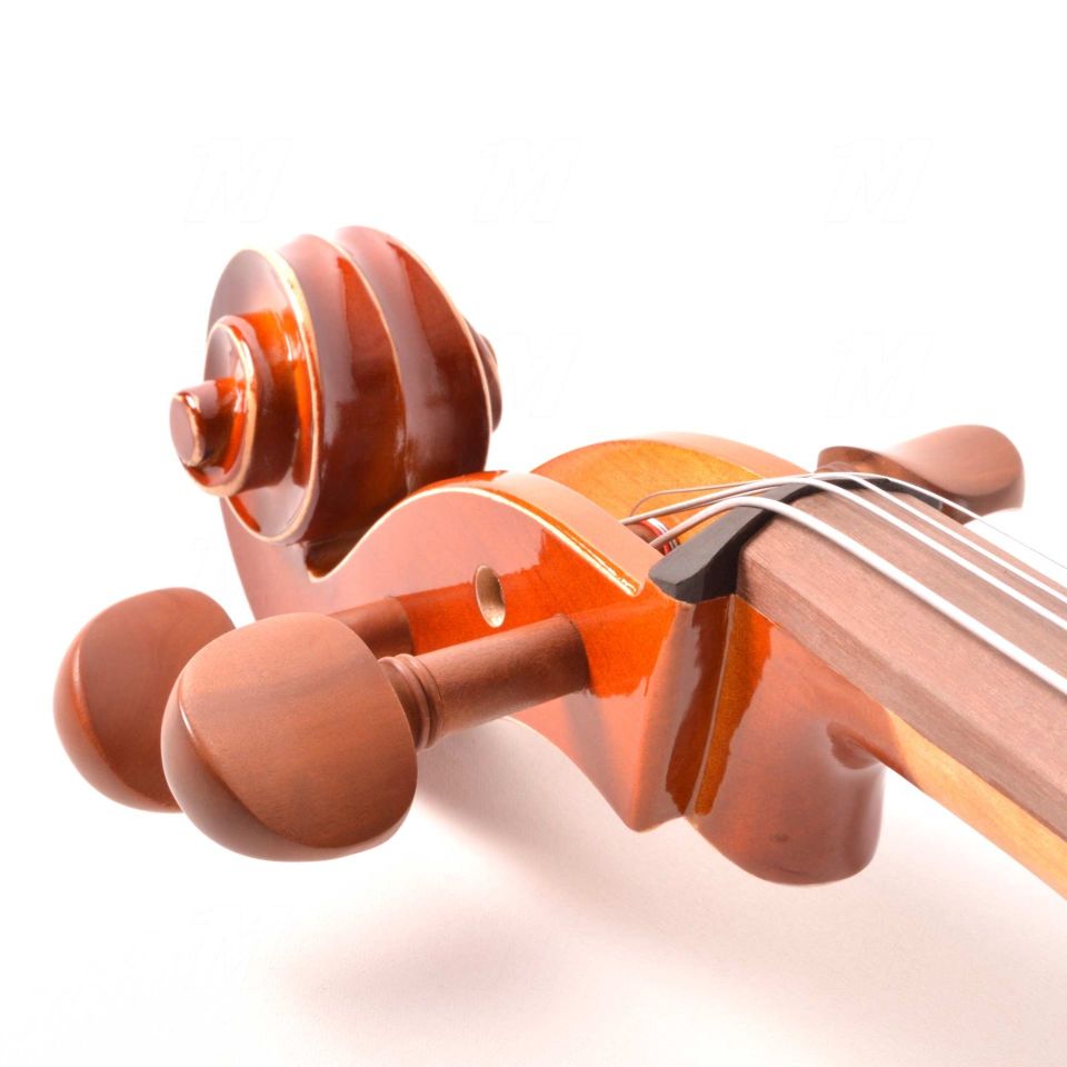 Çello (Viyolonsel) Dominguez 4/4 Gül Aksamlı Parlak