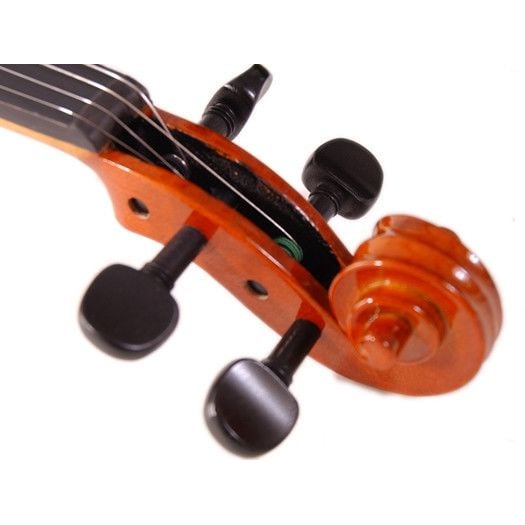 Stentor 1018/C Standart Keman (3/4)