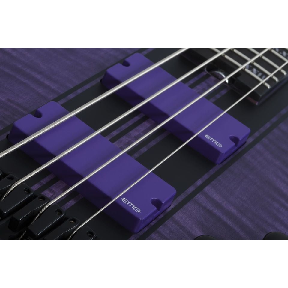 Schecter C-4 GT Bas Gitar (Satin Trans Purple)