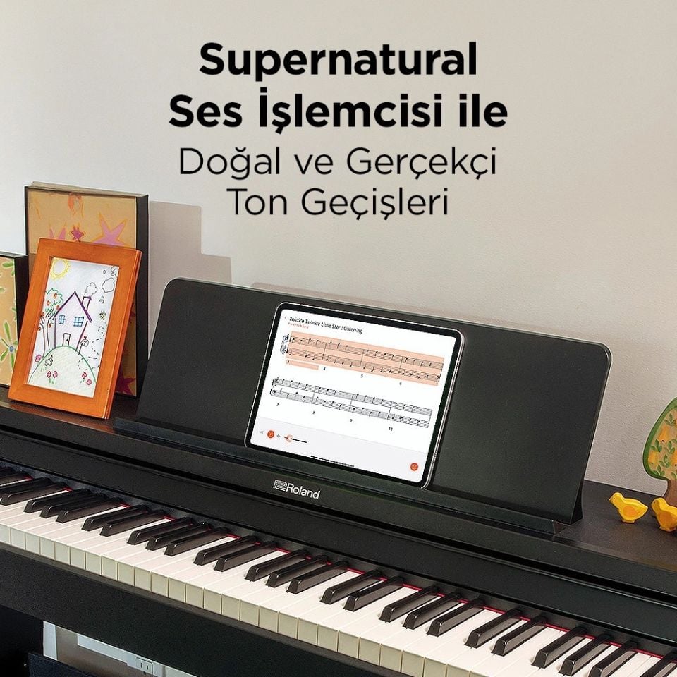 ROLAND RP107-BKX SuperNATURAL Siyah Dijital Duvar Piyanosu (Tabure & Kulaklık Hediyeli)