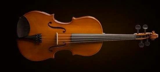 VALENCIA VA16041 VİYOLA KUTULU 16'' (40,64cm)