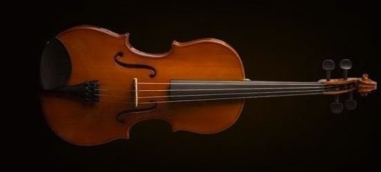 VALENCIA VA16040 VİYOLA KUTULU 15,5'' (40cm)