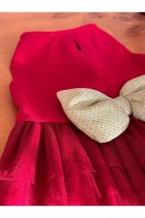 Bi Dolap Ponçik Yeni Yıl Elbise Kırmızı Simli Çiçekli Kurdela Detaylı Şık Kedi Köpek Kıyafeti & Elbisesi