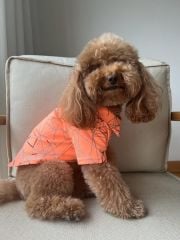 Bi Dolap Ponçik Spider Tişört Turuncu Yumuşak Dokulu Scuba Kumaş Kedi Köpek Kıyafeti & Tişörtü