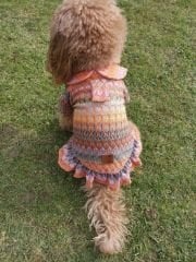 Bi Dolap Ponçik Turuncu Krem Yumuşak Dokulu Örme Kumaş Kedi Köpek Kıyafeti & Tişörtü
