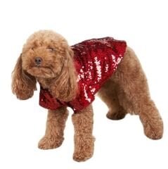 Bi Dolap Ponçik Kırmızı Kapüşonlu Sweat Pullu Payetli Parlak Kumaş Kedi Köpek Kıyafeti & Sweatshirt