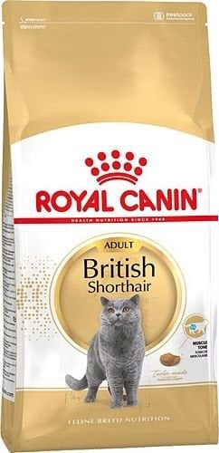 Royal Canin 2 Kg British Shorthair Adult Yetişkin Kedi Maması