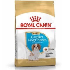 ROYAL CANIN 1,5 KG CAVALİER PUPPY YAVRU KÖPEK MAMASI