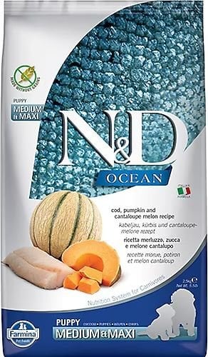 N&D OCEAN KÖPEK MORİNA BALIĞI, BALKABAĞI & KAVUN PUPPY MEDIUM & MAXI 2,5 KG