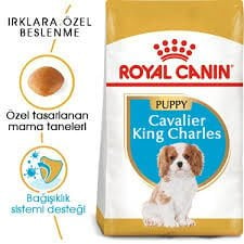 ROYAL CANIN KING CHARLES PUPPY 1,5KG