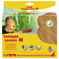 Sera Catappa Yaprağı M 18 Cm 10 Adet