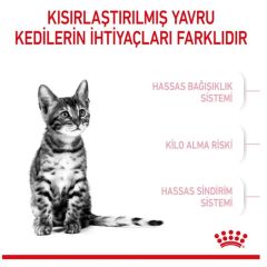 Royal Canin Kitten Sterilised 2 kg Kısırlaştırılmış Yavru Kedi Maması