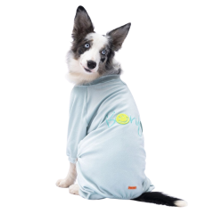 PawStar Mint Angers Büyük Irk Köpek Tulum Kıyafet 5XL